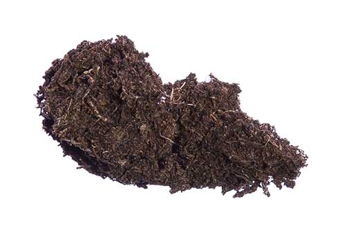 Erdaushub ohne Steine