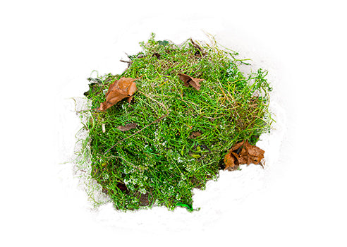 Garten- und Grünabfälle